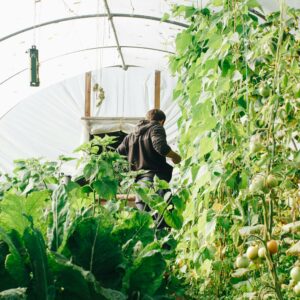 Fijo discontinuo y falta de llamamiento en la fecha habitual: ¿despido tácito?