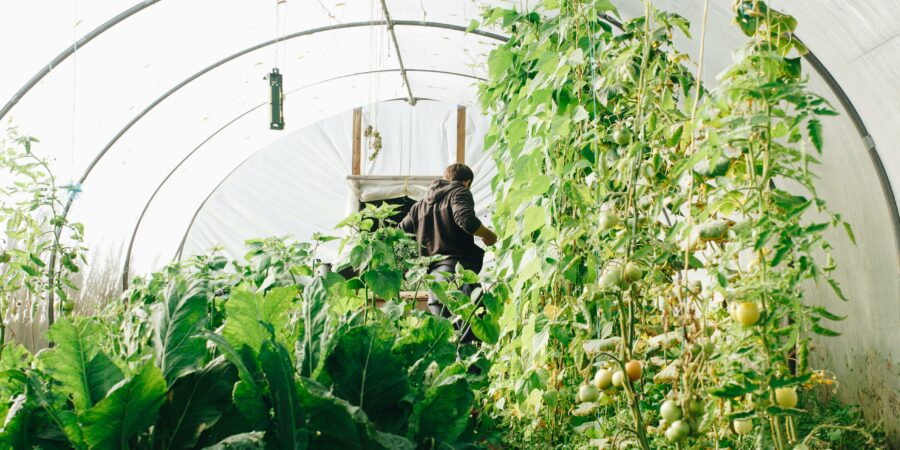 Fijo discontinuo y falta de llamamiento en la fecha habitual: ¿despido tácito?